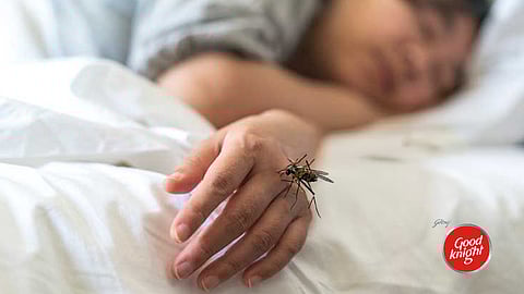 Mosquito bite affects productivity of 57% Indians