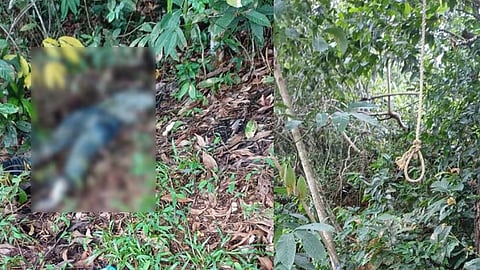 കോട്ടയത്ത് ആളൊഴിഞ്ഞ പുരയിടത്തിൽ യുവാവിന്റെ മൃതദേഹം