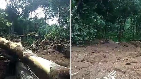 കോട്ടയത്ത് ഉരുൾപൊട്ടൽ: 7 വീടുകൾ തകർന്നു, 2 ജില്ലയിൽ റെഡ് അലർട്ട്