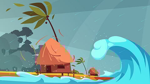 Disaster management authority set to be another disaster