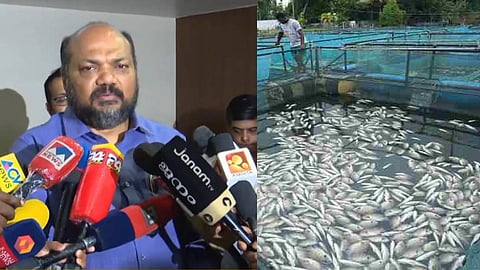 mass fish death periyar will take strict action p rajeev