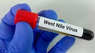 West Nile virus: Everything you need to know