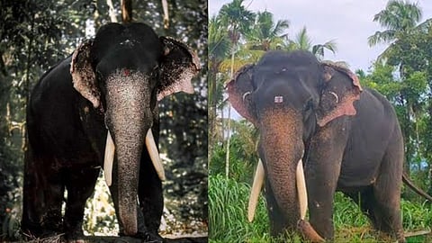 തൃക്കാരിയൂർ ശിവനാരായണൻ ചെരിഞ്ഞു, Thrikkariyoor sivanarayanan died