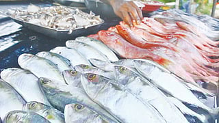 Chemical preservatives make fish poisonous