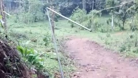 കാട്ടാനയ്ക്കെന്ത് വൈദ്യുതി വേലി! ഹാങ്ങിങ് വേലിയും തകർത്ത് കോട്ടപ്പടിയിൽ കാട്ടാനയുടെ വിളയാട്ടം