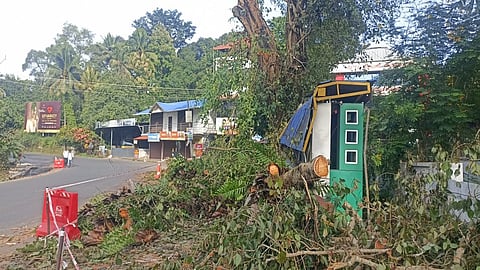 bus stand collapsed while cutting a tree at nellimattam school steps