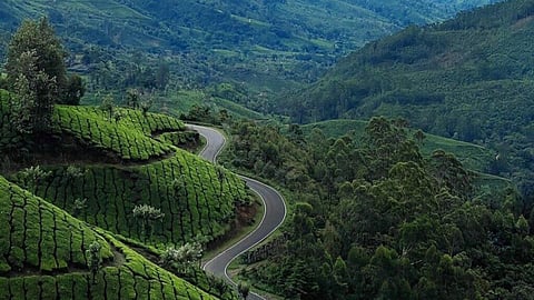 Kerala tourism suffers from social media