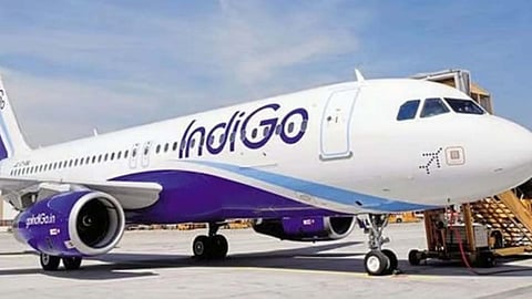 bird hit indigo emergency landing