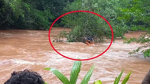 google maps error leads to car being swept away by rainwater in kasaragod