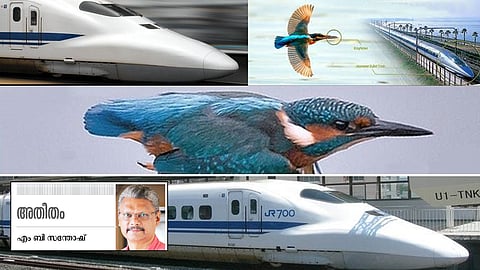 പുതിയ കാലത്തിന്റെ ബയോ മിമിക്രി