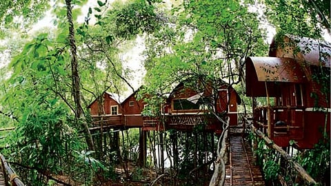 വനഭൂമിയിൽ സ്ഥാപിച്ച സിഐടിയു കൊടിമരം നീക്കിയ വനം വകുപ്പ് ഉദ്യോഗസ്ഥന്റെ കൈ വെട്ടുമെന്ന് സിപിഎം ലോക്കൽ സെക്രട്ടറി