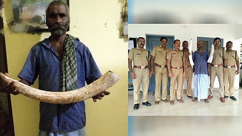 Elephant poacher caught by forest guards with tusks in Mamalakandam Kothamangalam