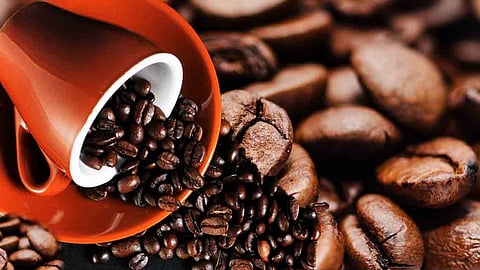 world of coffee in copenhagen