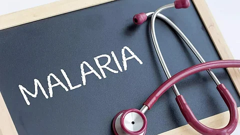 Malaria: Prevention is crucial