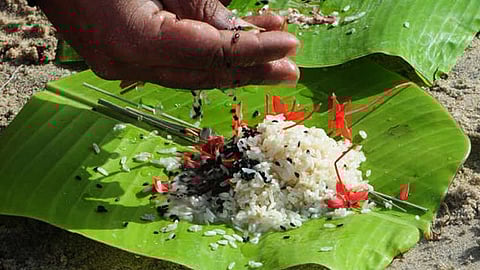 karkidaka vavu bali tharpanam 2024