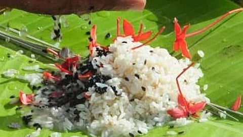 preparations for karkatakavaav bali are complete at nerul gurudevgiri