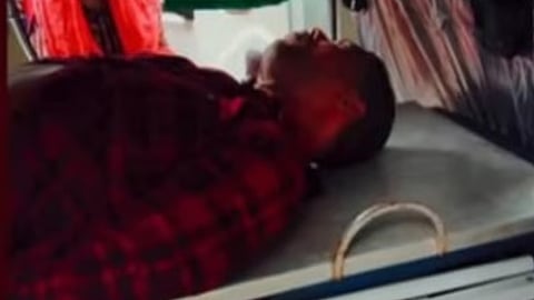 wild elephant attack in wayanad