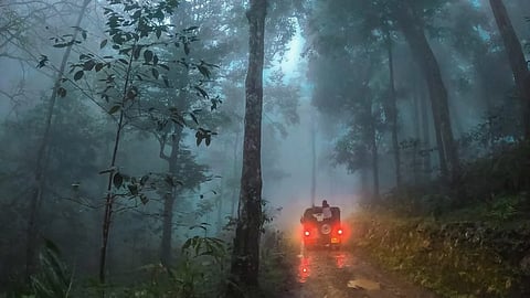 കാലവർഷം ശക്തമാകുന്നു; നെല്ലിയാമ്പതിയിൽ രാത്രിയാത്രാ നിരോധനം