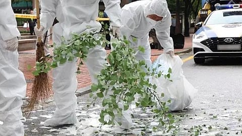 ബലൂണിനുള്ളിൽ മാലിന്യം നിറച്ച് അതിർത്തി കടത്തി വിട്ട് ഉത്തരകൊറിയ; മാലിന്യം വൃത്തിയാക്കി മടുത്ത് ദക്ഷിണ കൊറിയ