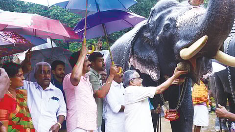 ഗുരുവായൂർ ദേവസ്വത്തിലെ ആനകളുടെ സുഖചികിത്സ ദേവസ്വം ചെയർമാൻ ഡോ. വി.കെ. വിജയൻ ഗജവീരൻ ദേവദാസിന് ആദ്യ ഔഷധ ഉരുള നൽകി ഉദ്ഘാടനം ചെയ്യുന്നു.