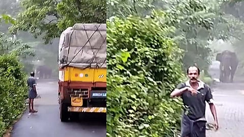 മലക്കപ്പാറയിൽ മൂന്നര മണിക്കൂറോളം വഴി തടഞ്ഞ് 'കബാലി'; വഴിയിൽ കുടുങ്ങി യാത്രക്കാർ | Video