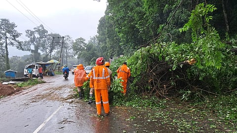 heavy rain travel ban on neriyamangalam national highway