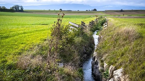 Many streams in Switzerland have traces of pesticides and other pollutants. Jean-Christophe Bott/Keystone