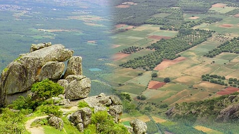 രാമക്കൽമേട്ടിലേക്കുള്ള വഴി അടച്ച് തമിഴ്നാട്