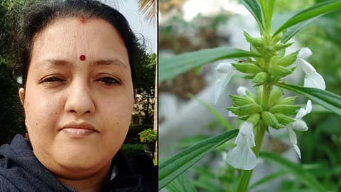 death after eating leucas aspera plant the police with a crucial revelation