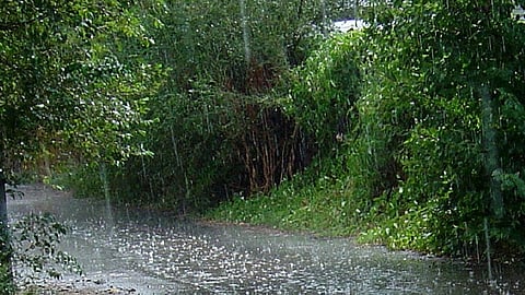 സംസ്ഥാനത്ത് മഴ തുടരും; 2 ജില്ലകളിൽ ഓറഞ്ച് അലർട്ട്, 8 ഇടത്ത് യെലോ