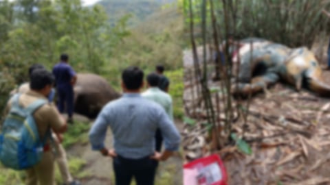 Kothamangalam local news