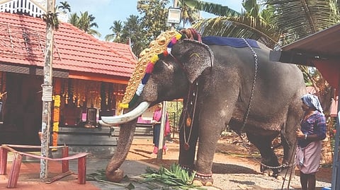 Krishnashtami celebration Karukutti