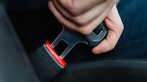 seat belts are also mandatory for rear seat travel