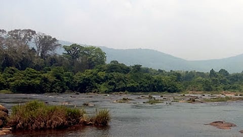 Paniyeli Poru