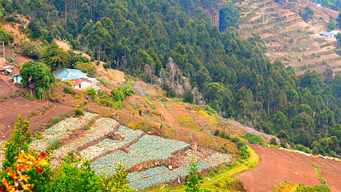 Vattavada, വട്ടവട