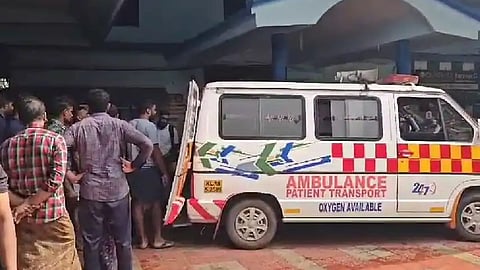 A bear attacked a young man who went to pick mushrooms in Nilambur