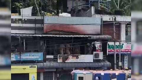 Mysterious in Papanamkote fire; It is suspected that the husband committed suicide after stabbing Vaishna to death