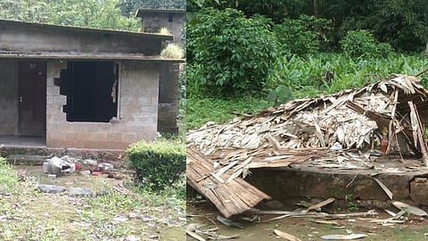 wild elephant attack