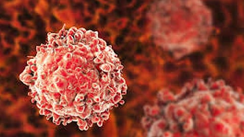 Is leukemia hereditary?