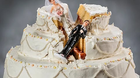 professional wedding destroyer