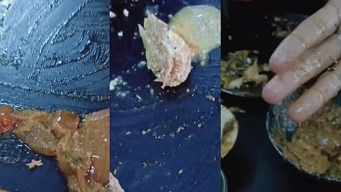 Live maggots found in chicken curry served at hotel in Idukki; The hotel was closed