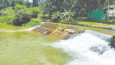 Elikkatu Chira in Muvattupuzha attracts tourists മൂവാറ്റുപുഴ നിന്നു വരുന്നവർ കീച്ചേരിപ്പടി ജംഗ്ഷനിൽ നിന്നും മൂന്നര കിലോമീറ്റർ സഞ്ചരിച്ചാൽ ആട്ടായം കിഴക്കേക്കടവിലെത്തി എലിക്കാട്ട് ചിറയിൽ എത്തിച്ചേരാം