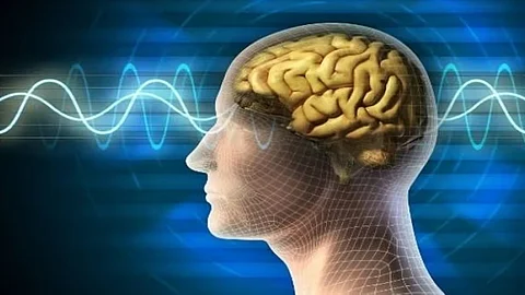 amoebic meningoencephalitis confirmed another one in kozhikode