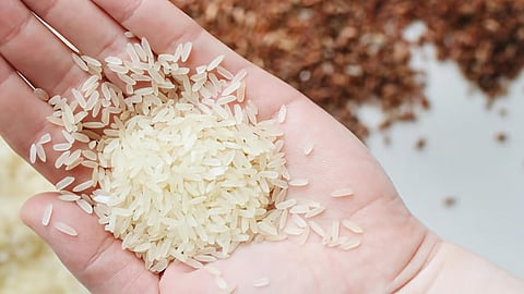 Rice prices in UAE to drop by 20% as India lifts export ban