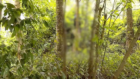 Former CPM branch secretary accused in POCSO case found dead