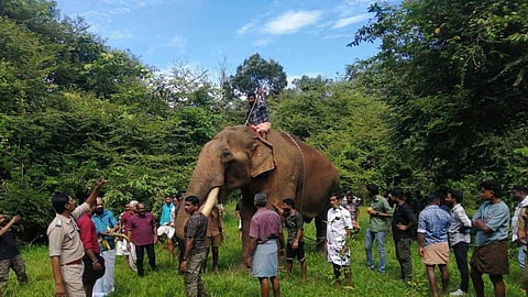 elephant puthuppally sadhu was found