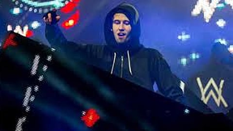 Massive theft during the Alan Walker show