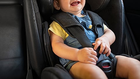motor vehicles department to ensure safety of children traveling in cars and two wheelers
