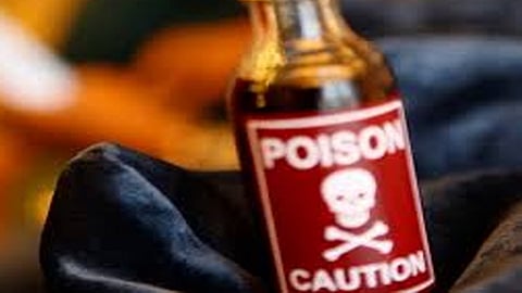 woman killed 13 members of the family