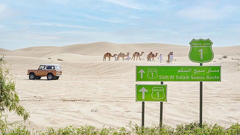 Sheikh Hamdan approves Master Plan for Sheikh Al Salam Scenic Route and Rural Development